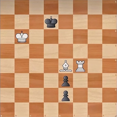 24.Studie von Vitali web