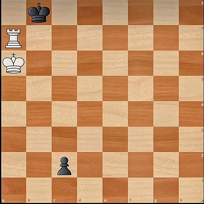 28. Studie von Vitali web